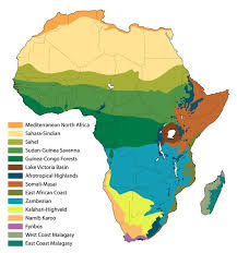 Next (congress and treaty of vienna). Pin On Ref Geo Regions
