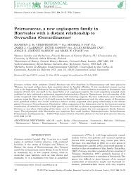 Image result for Gerrardina