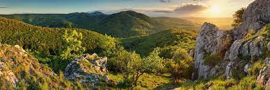 La mitad para la naturaleza. Slovakia Preferred By Nature Global