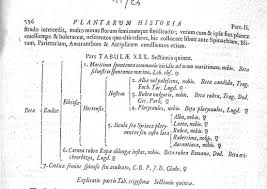 Image result for Platycaulos