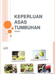 • pertambahan bilangan daun • saiz daun • tinggi pokok • lilitan batang 4. Keperluan Asas Tumbuhan