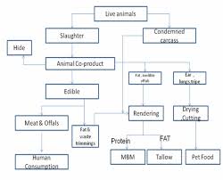 fat for animal feed engormix