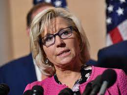 Representative for wyoming—a teenage liz helped hand out. Liz Cheney Warns Republicans At Turning Point As She Faces Removal From Leadership Republicans The Guardian