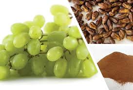 Grape Seed Extract | Our Products | NZ Extracts