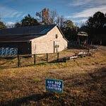 Anne Ophelia Todd Dowden, 99, Artist, Dies