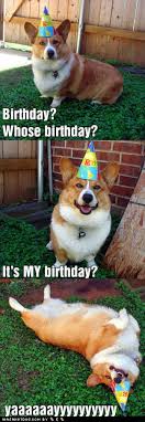 Jun 14, 2021 · queen elizabeth has been given a new corgi puppy for her 95th birthday, a month after her dorgi puppy died. I Has A Hotdog Happy Birthday To Me I Has A Hotdog Dog Pictures Funny Pictures Of Dogs Dog Memes Puppy Pictures Doge