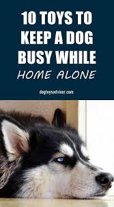 Many Dog Owners Have To Leave Their Dogs Home Alone When They Go To Work Every Day Just Like Humans Dogs Get Dogs Husky Puppy Training Dog Behavior Training