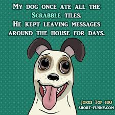 You might have come across some good jokes, but they might be old. New Jokes 2021 2020 Short Funny Com