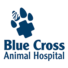 Whether we are providing your pet with dental care, preventive health care. Home Blue Cross Animal Hospital Toronto Veterinarian