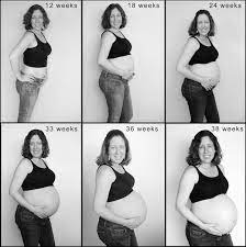 38 Weeks 38 Semanas Rosane Walker Blog