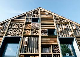 Mellor Primary School By Sarah Wigglesworth Architects Photograph By Beccy Lane Modern Architecture Design Architecture School Architecture