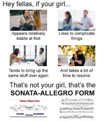 It's Sonata-Allegro form • • #orchestramemes #orchestra #bass #doublebass  #violin #viola #cello #lol #funnymemes #piano #string #orchestrahumor  #treble #alto #tenor #music #musician #instrument #instruments  #classicalmusician #instrumentalists ...