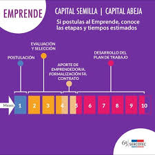 .por el sercotec, los fondos entregados por la institución estatal son capital semilla, capital abeja y el capital abeja ya está abierto, tienes que entrar a la página web sercotec.cl elegir tu región. Sercotec Chile Si Te Has Preguntado Cuanto Tiempo Dura Facebook