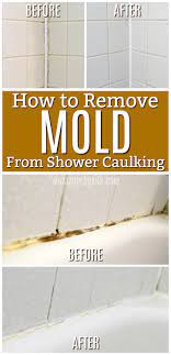 Our instant spray cleaner removes the stains left behind from black mold and mildew. How To Get Rid Of Black Mold In Your Shower Caulking