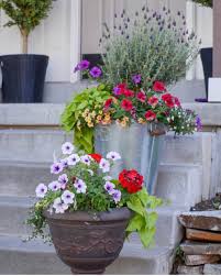 Maybe you would like to learn more about one of these? Beginners Guide For Planting Flower Pots Start At Home Decor
