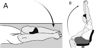 Image result for Shoulder Range of Motion Exercises
