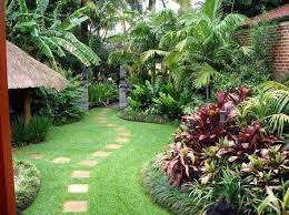 Check spelling or type a new query. A Tropical Garden Design In Sydney Blog For Valley Garden Landscapes