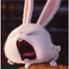 20 gambar kelinci lucu dan imut untuk hilangkan kalut kepogaul cara mengangkat kelinci yang benar tes template Pin Oleh à¹à¸à¸£à¸§à¸à¸£à¸²à¸§ Di Cute Gambar Kelinci Kartun Anak Binatang