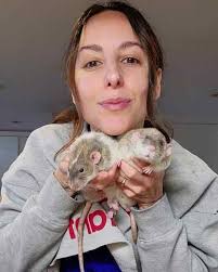 DOG AND CAT DAYS OF SUMMER 2024