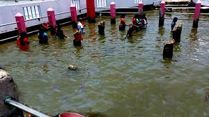 Navabashanam Temple Devipattinam- History,Graha Poojas,Pooja Timings