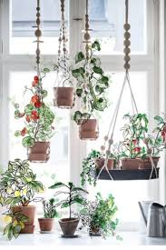 15 Ikea Hacks For The Plants In Your Life Hanging Plants Plants Hanging Plant Holder