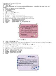 Check spelling or type a new query. Kisikisi Bjawa