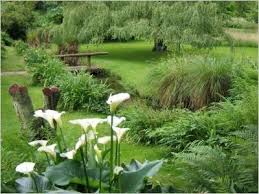 Les Plus Beaux Jardins De Particuliers Recompenses Beaux Jardins Les Plus Beaux Jardins Jardins