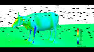 Just in case you wondered. Can Cows Fly Floefd Investigates Part 2 Aerocownamic Lift And Drag Simulating The Real World