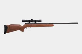 Ruger specializes in power, quality, and accuracy. Pin Point Top 10 Best Air Rifles Improb