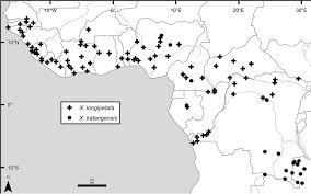 Gaji rsia grand family : A Revision Of Xylopia L Annonaceae The Species Of Tropical Africa