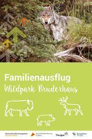 ausflugstipp wildpark bruderhaus winterthur ausflug tierpark tiere