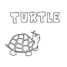 Maybe you would like to learn more about one of these? Top 20 Free Printable Turtle Coloring Pages Online