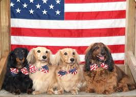 We did not find results for: Nebraska Dachshund Rescue Home Facebook