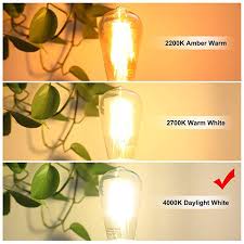 Yeelight smart led bulb colorful 800 lumens 10w e27 lamp for smart home app. Led Edison Bulb 6w Vintage Light Bulb 60w Equivalent 800 Lumen 4000k Daylight White Non Dimmable Led Filame Filament Bulb Vintage Light Bulbs Led Light Bulbs