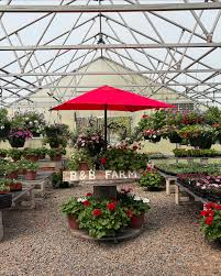 Image result for tbn:0PJB32OL7JwfOM::farm4.static.flickr.com/3324/3329876139_f2d551139f.jpg