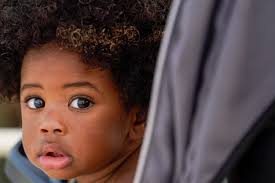 Fourth of July in Tampa Bay