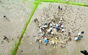 Image result for rescue helicopter food packets throwing down