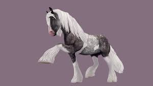 Also auch zur serie star stable mistfall. Meine Sso Pferde Lol A 3d Model Collection By Kianaistcool Kianaistcool Sketchfab