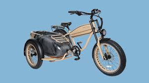 Image result for bicycle sidecar