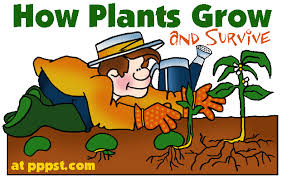 How Plants Grow And Survive Growth Cycles Free Presentations In Powerpoint Format Free Interactive Science Writing Activities Plant Life Cycle Plant Science