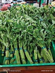 Contextual translation of kangkung into english. Kangkong Leaves Information And Facts