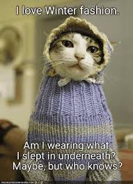 28 Winter Solstice Memes To Distract You From The Bitter Cold Funny Winter Quotes Weather Quotes Cold Weather Quotes