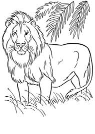 30 Disegni Di Leoni Da Colorare Disegno Di Leone Disegno Leone Disegni
