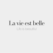 Pin By Traci Mussyal On Quotes French Words Quotes Small Quote Tattoos French Quotes