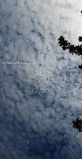 instagram ghadeer abu alhaj flower background wallpaper instagram photo