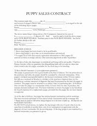 Generic Puppy Deposit Contract Bmo Show
