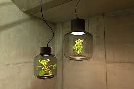 Lamp Multi Tasking As A Terrarium Allows Plants To Grow In Sunlight Starved Spaces Lamp Lamp Design Plant Lighting