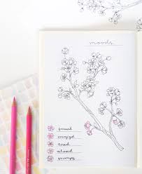 Maybe you would like to learn more about one of these? Spring Bullet Journal Layout Cherry Blossoms Evydraws