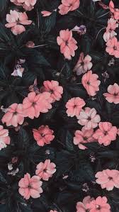 57 Trendy Ideas For Flowers Wallpaper Tumblr Iphone Rosas Papel De Parede Tumblr Wallpaper Papel De Parede De Girassol Hd wallpaper good night with love. flowers wallpaper tumblr iphone