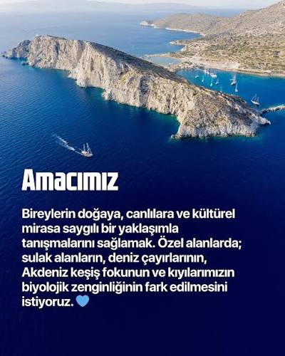 Türkiye'nin Dört Köşesinden Gelen Spor Ruhunu Keşfet: İnanamayacaksın!